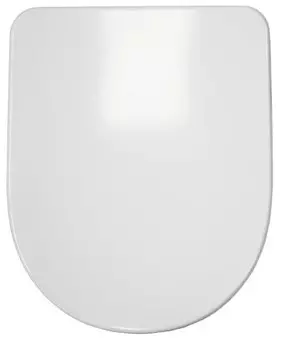 Сиденье для унитаза Sanita-Luxe AMALFI дюропласт soft-close белое (0086951)