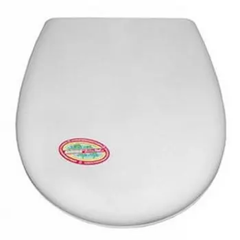 Сиденье для унитаза Santek БОРЕАЛЬ с микролифтом, дюропласт (WH302050)