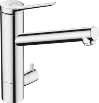 Смеситель для кухни HansGrohe Zesis 74808000