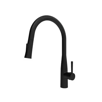 Смеситель для кухни Raiber RPB-011 черный