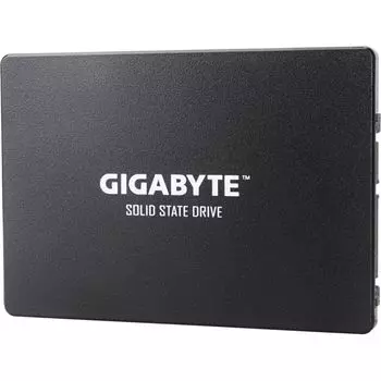 SSD накопитель Gigabyte GP-GSTFS31256GTND