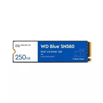 SSD накопитель Western Digital Blue SN580 (WDS100T3B0E)