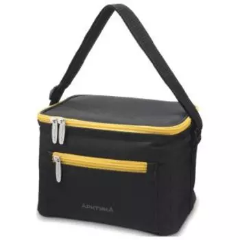 Сумка-холодильник Арктика 020-2500 чёрная