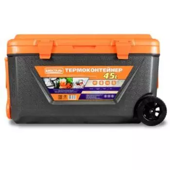 Сумка-холодильник Biostal CB-45G-K