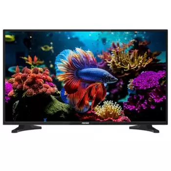 Телевизор Asano 43LF1010T