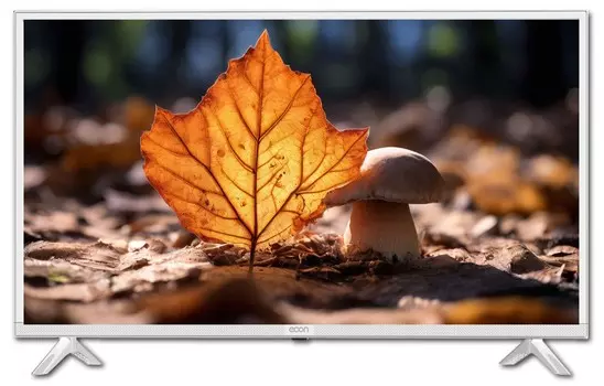 Телевизор Econ EX-32HS002W