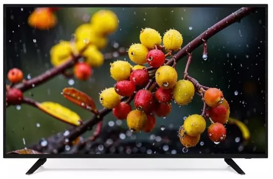 Телевизор Goldstar LT-43F900