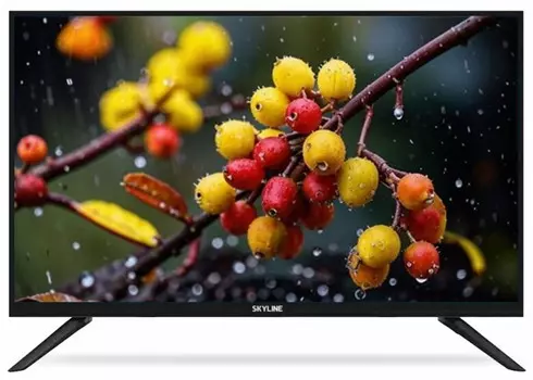 Телевизор Skyline 24YST5970