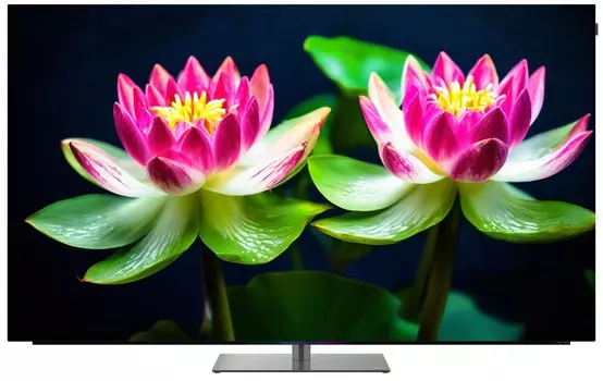 Телевизор Skyworth 55SXF9850