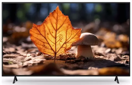 Телевизор Sony KD-75X77L