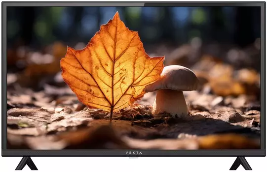 Телевизор VEKTA LD-40SF4850BS