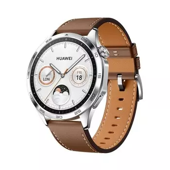 Умные часы Huawei Watch GT 4 Brown (55020BGX)