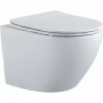 Унитаз Aquatek Европа матовый белый с тонким сиденьем с механизмом плавного закрывания (AQ1901-MW)