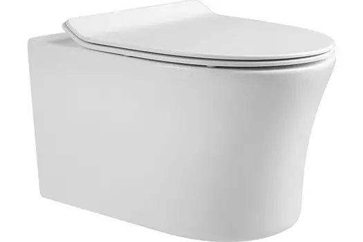 Унитаз Aquatek НИКА с тонким сиденьем с механизмом плавного закрывания, крепеж (AQ2009-00)