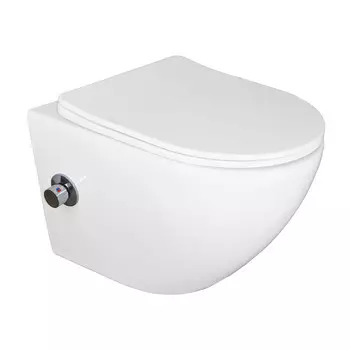 Унитаз Azario Allegro с м/лифтом (AZ-3105B)