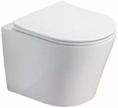 Унитаз Azario Atrio безободковый с сиденьем м/лифт 490x365x360 (AZ-2330)