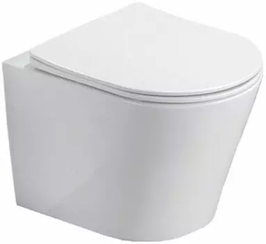 Унитаз Azario Teramo безободковый, с сидением м/лифт 480х365х360 (AZ-0053 SP)