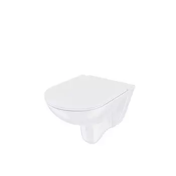 Унитаз Iddis Zodiac подвесной, безободковый (ZDCRDSEi25)