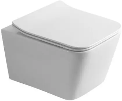 Унитаз Olive's PORTO PR30116DP