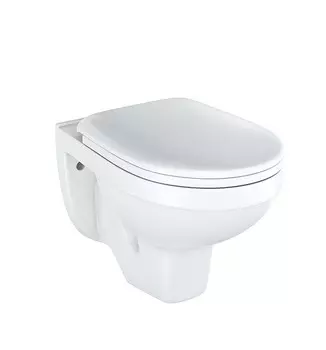 Унитаз Rosa РИО Люкс подвесной с сиденьем soft-close (Вн УпРЛ10)