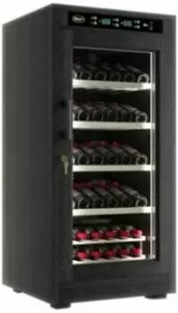 Винный шкаф Cold Vine C66-WB1 (Modern)