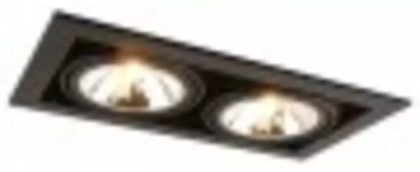 Встраиваемый светильник Arte Lamp a5949pl-2bk