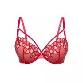 Бюстгальтер Double push-up с формованными чашками на перемычке Elizia