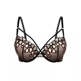 Бюстгальтер Double push-up с формованными чашками на перемычке Elizia