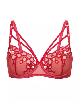 Бюстгальтер с мягкими чашками и спонжевой поддержкой на стане Elizia