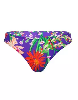 Бразилиано Sakura