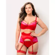 Пояс для чулок Dolores Elegance (rouge, 6)