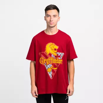 Футболка Harry Potter