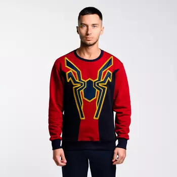 Свитшот с Паучком