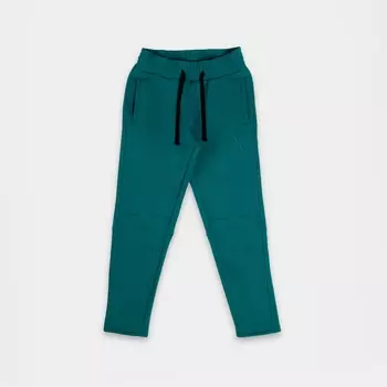 Утеплённые брюки Simple 2