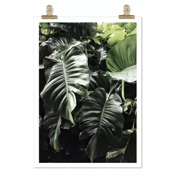 Панно "Botanic Printed"