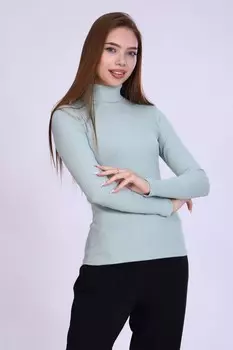 Водолазка трикотажная Тасия (светло-зеленая)