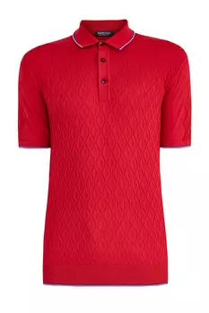 Поло с фактурным ромбическим принтом и кромками в полоску