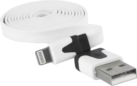 USB – Apple Lightning White
