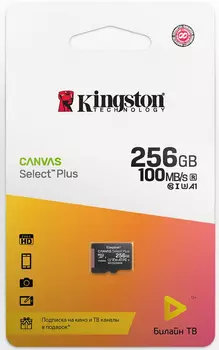 Canvas Select Plus microSDHC UHS-I Class 10 256GB + подписка билайн тв на 2 месяца
