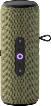 Портативная колонка Яндекс Станция Стрит с Алисой Зелёная