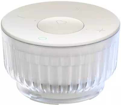 Умная колонка SberBoom Mini 2, с Салют Неоновый серый