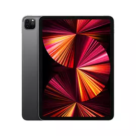 2021 Apple iPad Pro 11″ (256GB, Wi-Fi, серый космос)