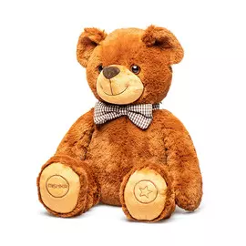 Умный Мишка MISHKA