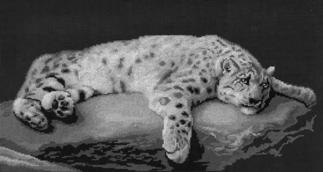 0014 Набор для вышивания 'Под луной' 47х25 см