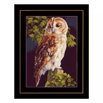 PN-0146814 Набор для вышивания LanArte 'Сова' 36x38см