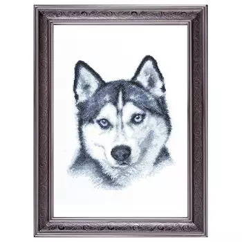 02.004 Набор для вышивания Палитра 'Взгляд хаски' 21х27 см