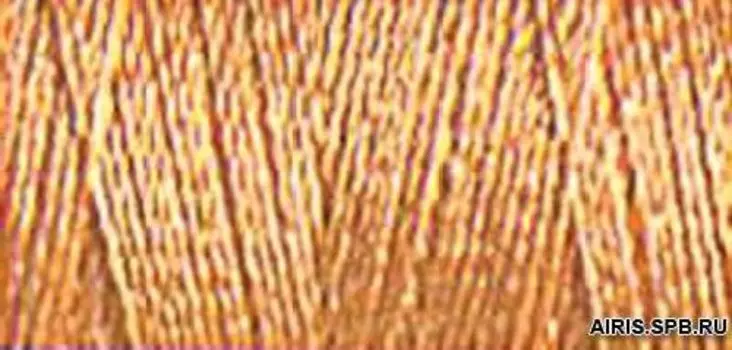 10 Нить 100% вискоза SULKY Rayon 40 200м 709700 (1313)