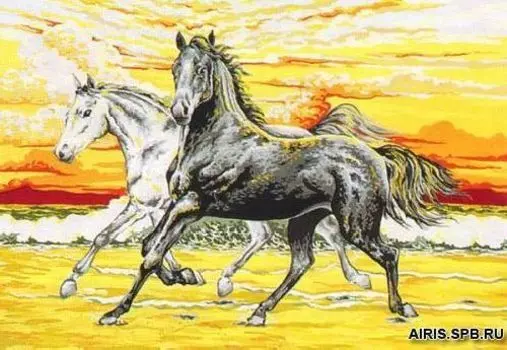 11371-CDA Канва с рисунком Collection D`Art, 50x60 см