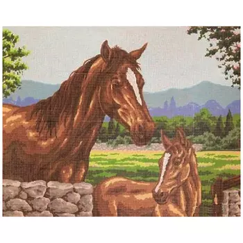 11494-CDA Канва с рисунком Collection D'Art 'Лошадки' 50*60 см
