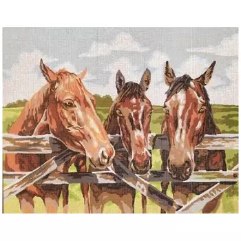 11500-CDA Канва с рисунком Collection D`Art 'Трио' 50*60 см